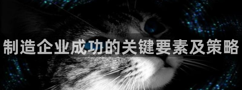 彩神平台能提现吗：制造企业成功的关键要素及策略