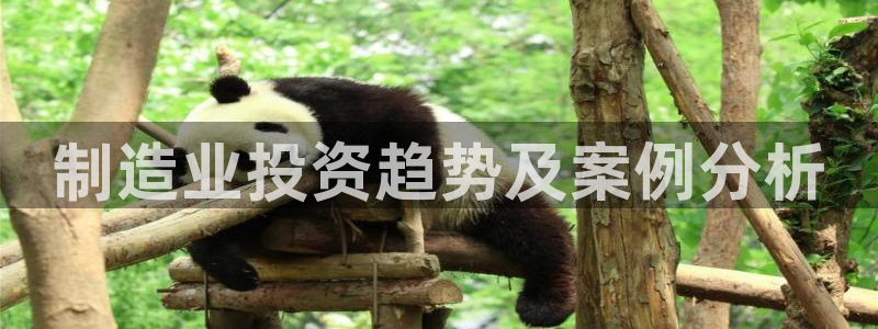 彩神争霸官方登录：制造业投资趋势及案例分析