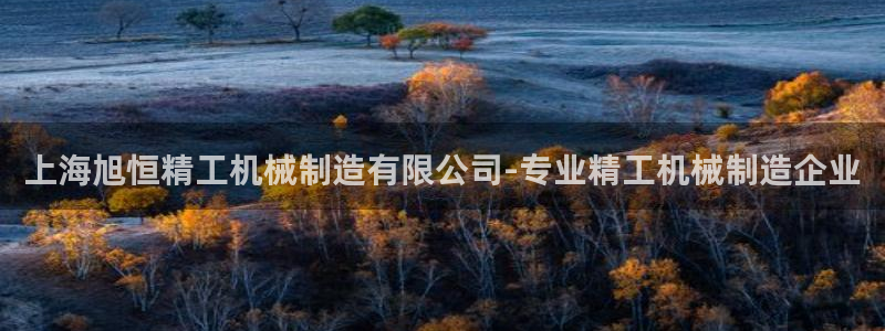 v彩神88iii：上海旭恒精工机械制造有限公司-专业精工机械