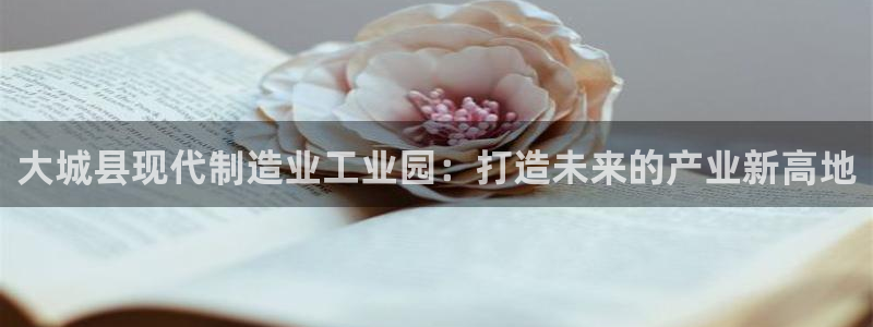 彩神8彩平台客服：大城县现代制造业工业园：打造未来的产业新高