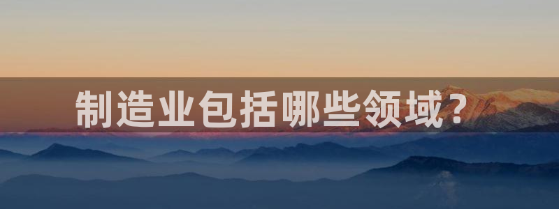 彩神数码科技有限公司：制造业包括哪些领域？