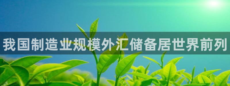 彩神购彩-购彩大厅入口500：我国制造业规模外汇储备居世界前列