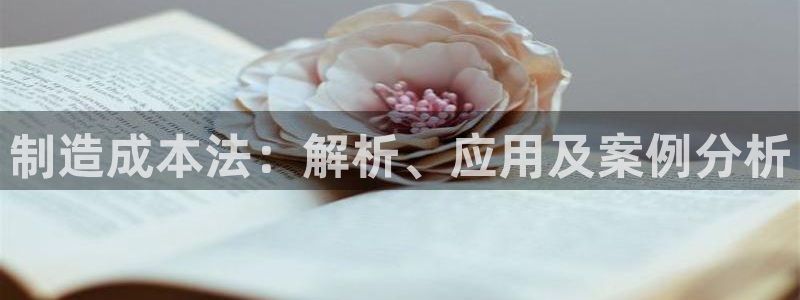 彩神到底能不能赚钱：制造成本法：解析、应用及案例分析