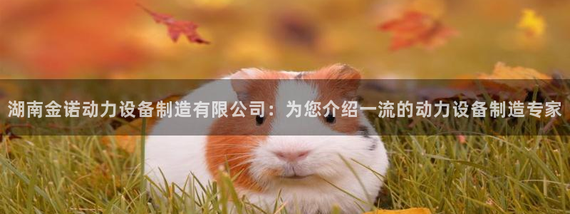 彩神viii官网：湖南金诺动力设备制造有限公司：为您介绍一流的动力设备制造专家