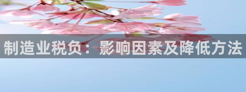 彩神v8下载网址：制造业税负：影响因素及降低方法