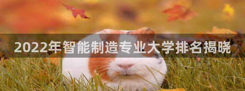 彩神vll官网-最新版app下载：2022年智能制造专业大学