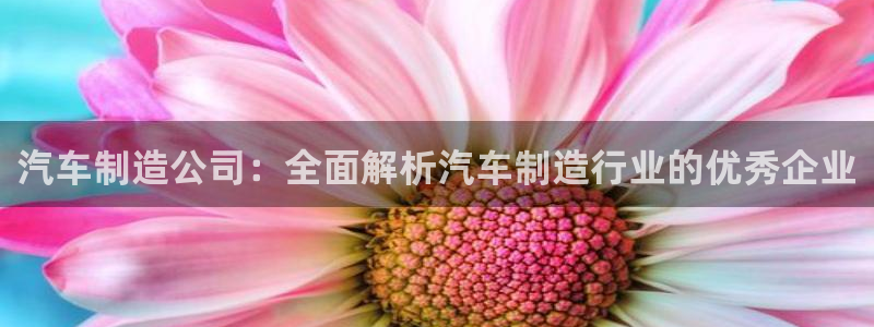 彩神购彩-购彩大厅入口下载：汽车制造公司：全面解析汽车制造行业的优秀企业