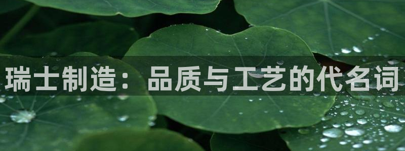 在彩神网输了六万多怎么拿回来