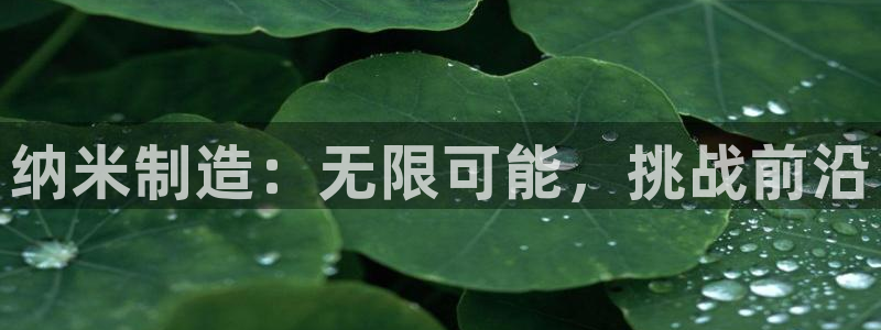 彩神赢钱了吗