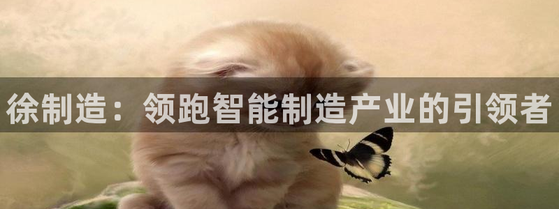 下载彩神乐发V1：徐制造：领跑智能制造产业的引领者