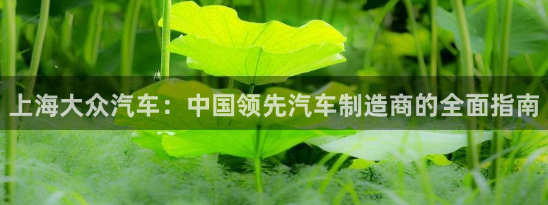 彩神vllⅰ购彩大厅