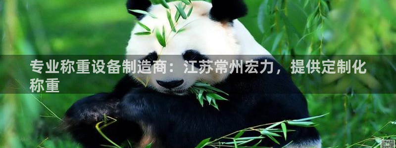 彩神是什么平台的游戏：专业称重设备制造商：江苏常州宏力，提供定制化
称重