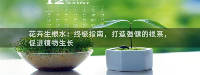 彩神v|：花卉生根水：终极指南，打造强健的根系，
促进植物生长