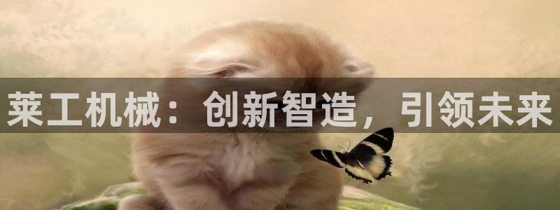 彩神v8是一个什么平台啊：莱工机械：创新智造，引领未来