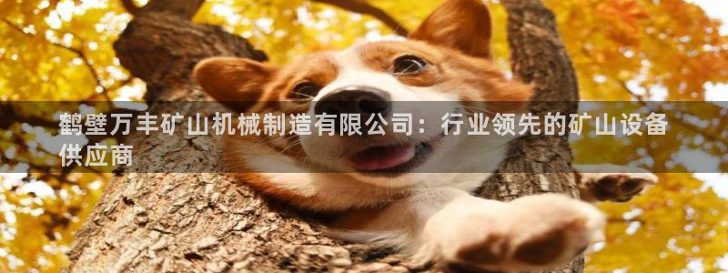 有谁知道彩神争霸的网址