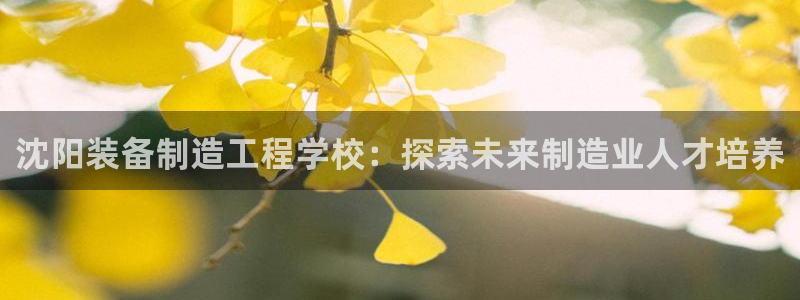 彩神v破解版：沈阳装备制造工程学校：探索未来制造业人才培养