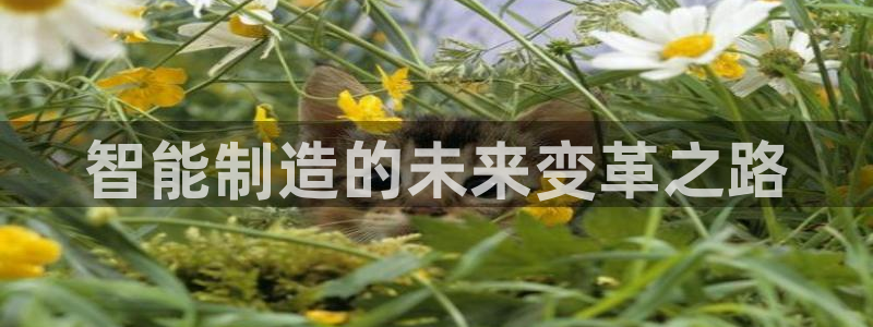 彩神8彩平台