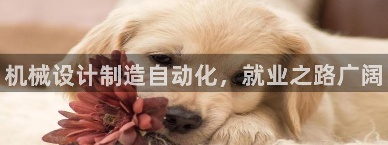 彩神v8几个版本：机械设计制造自动化，就业之路广阔