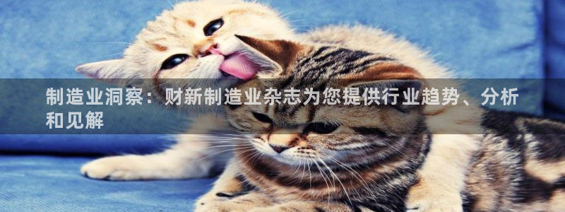 彩神vlll官方网：制造业洞察：财新制造业杂志为您提供行业趋势、分析
和见解