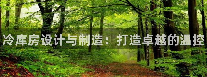 彩神V购彩大厅