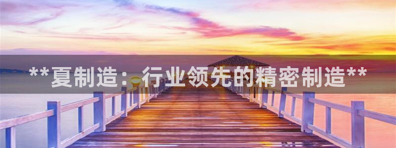 彩神到底能不能赚钱：**夏制造：行业领先的精密制造**