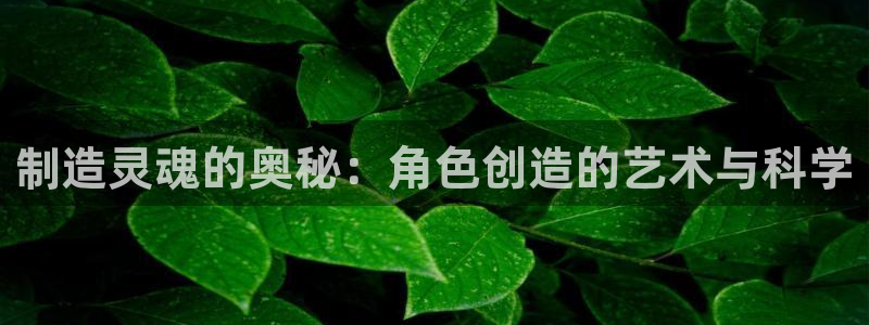 彩神vl官网