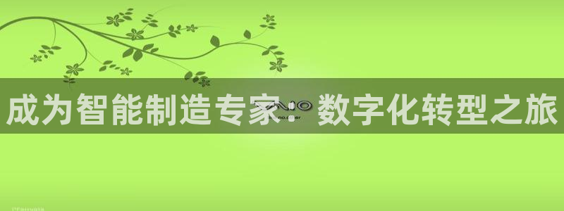 彩神V集团有限公司