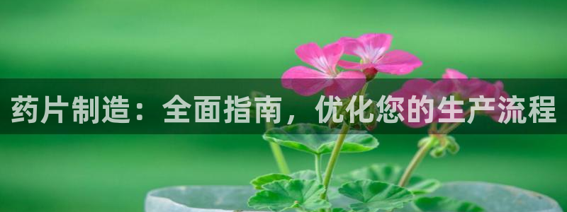 彩神v8下载app：药片制造：全面指南，优化您的生产流程