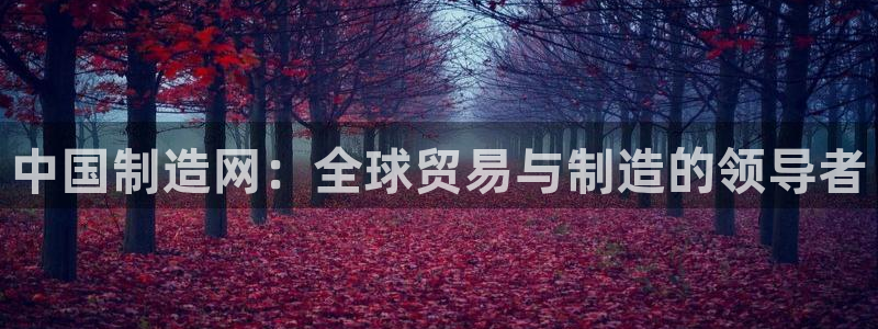 彩神网可以赚钱是真的吗：中国制造网：全球贸易与制造的领导者