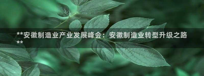 新版彩神v8登录：**安徽制造业产业发展峰会：安徽制造业转型