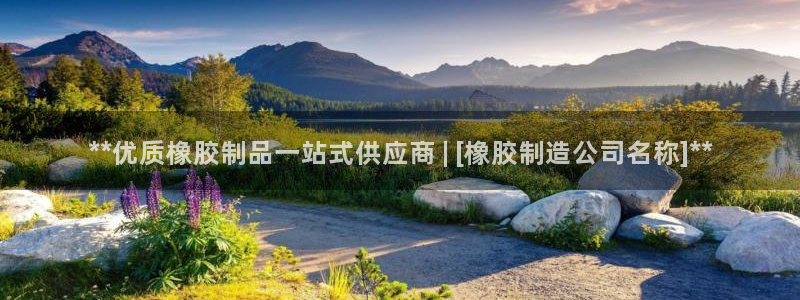彩神vlll官方网：**优质橡胶制品一站式供应商 | [橡胶制造公司名称]**