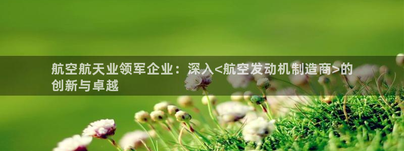彩神争霸老平台：航空航天业领军企业：深入<航空发动机制造商>