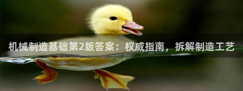 彩神输的钱是赌博还是诈骗：机械制造基础第2版答案：权威指南，拆解制造工艺