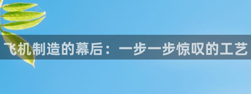 彩神V官网：飞机制造的幕后：一步一步惊叹的工艺