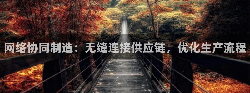 彩神平台是真的吗：网络协同制造：无缝连接供应链，优化生产流程