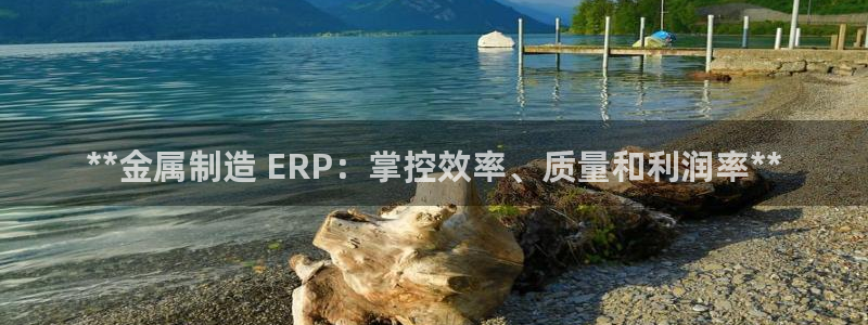 彩神viii是正规平台吗?：**金属制造 ERP：掌控效率、质量和利润率**