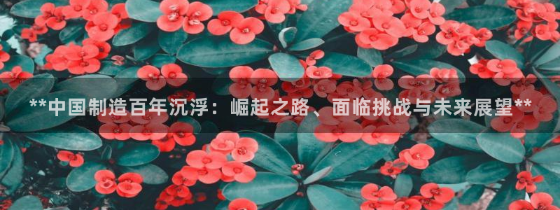彩神网合法吗：**中国制造百年沉浮：崛起之路、面临挑战与未来展望**