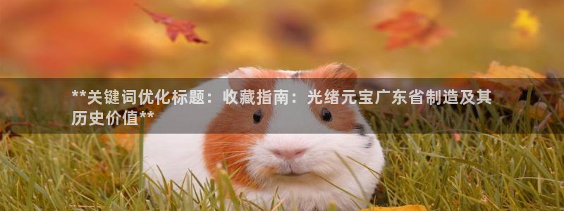 彩神v争霸有限公司