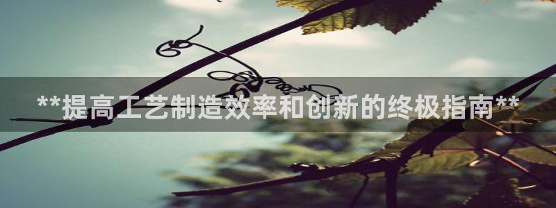 彩神网合法吗：**提高工艺制造效率和创新的终极指南**