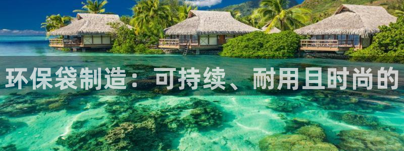彩神vii购彩l心：环保袋制造：可持续、耐用且时尚的