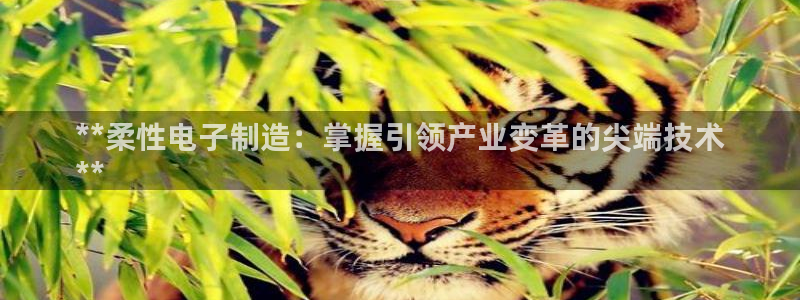 彩神购彩-购彩大厅入口娱乐首选：**柔性电子制造：掌握引领产业变革的尖端技术
**