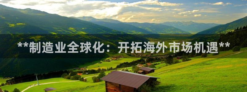 彩神V8平台：**制造业全球化：开拓海外市场机遇**