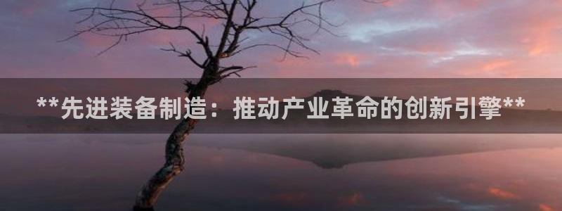 彩神争霸官方下载2017：**先进装备制造：推动产业革命的创新引擎**