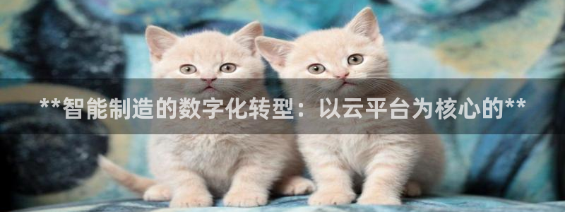 彩神v破解版：**智能制造的数字化转型：以云平台为核心的**