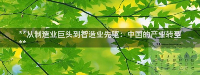 彩神vlll官方网：**从制造业巨头到智造业先驱：中国的产业转型
**