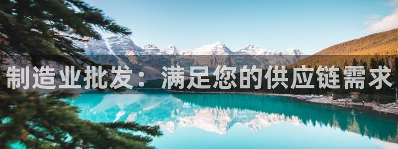 彩神8下载安卓版-彩神8(可提现)官网版1.0.0：制造业批发：满足您的供应链需求