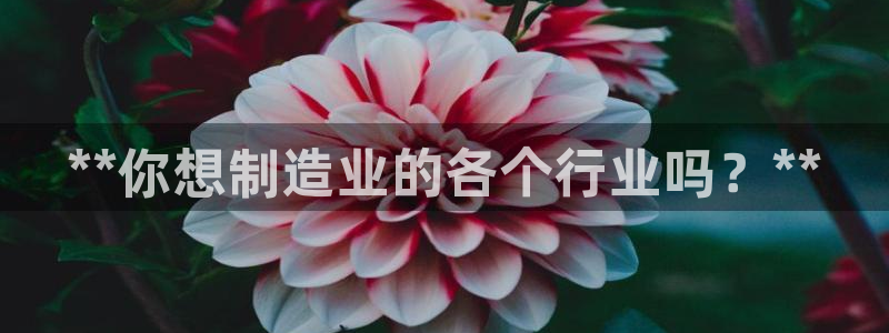 彩神vlll官网网上购彩：**你想制造业的各个行业吗？**