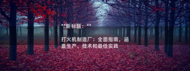 彩神vip购彩：**新标题：**

打火机制造厂：全面指南，