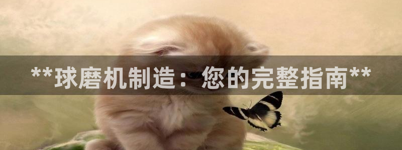 彩神v8客户端：**球磨机制造：您的完整指南**