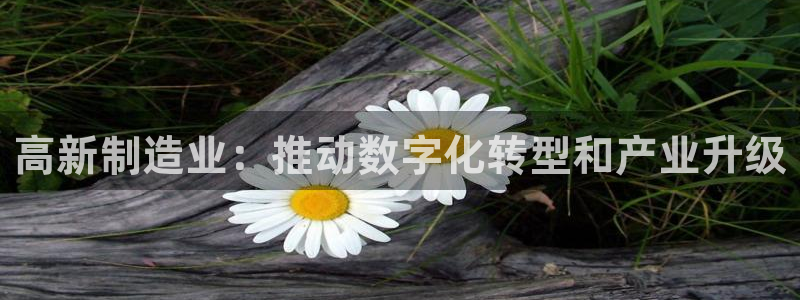 彩神ix可靠吗：高新制造业：推动数字化转型和产业升级